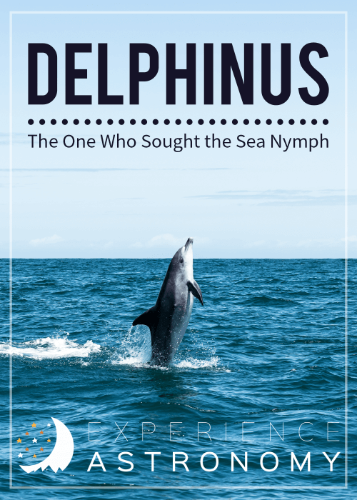 Delphinus Constellation