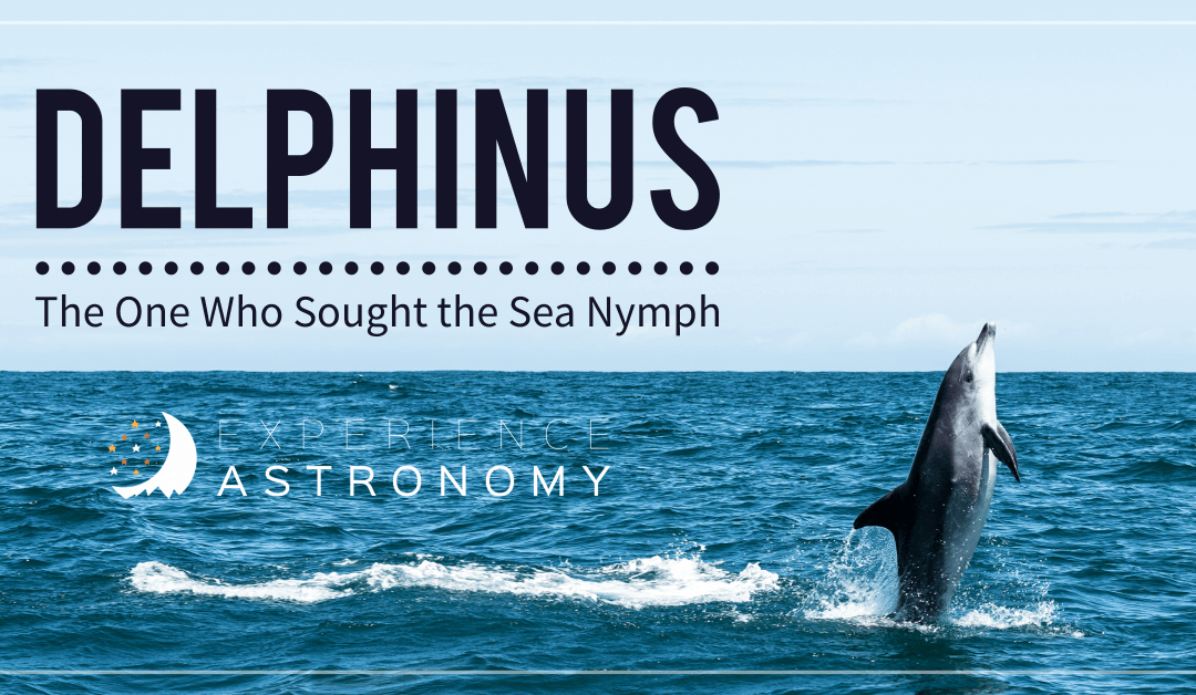 Delphinus: The One Who Sought the Sea Nymph
