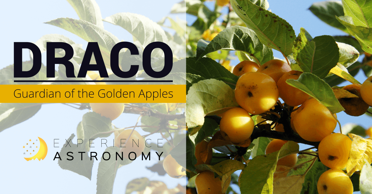 Draco-GuardianOfTheGoldenApples-FB