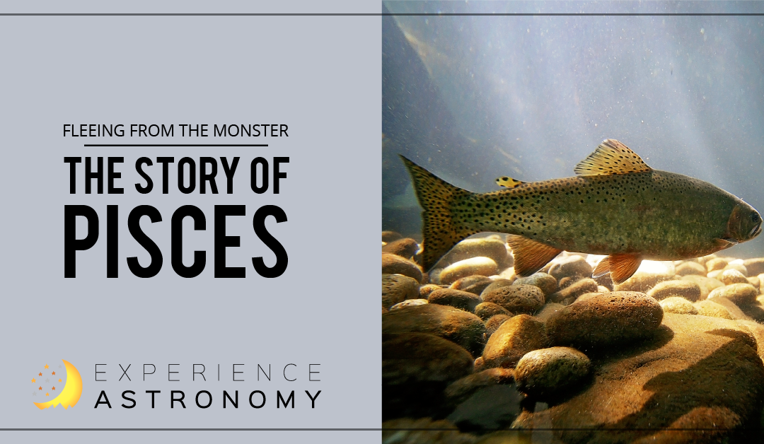 Fleeing from the Monster: The Story of Pisces