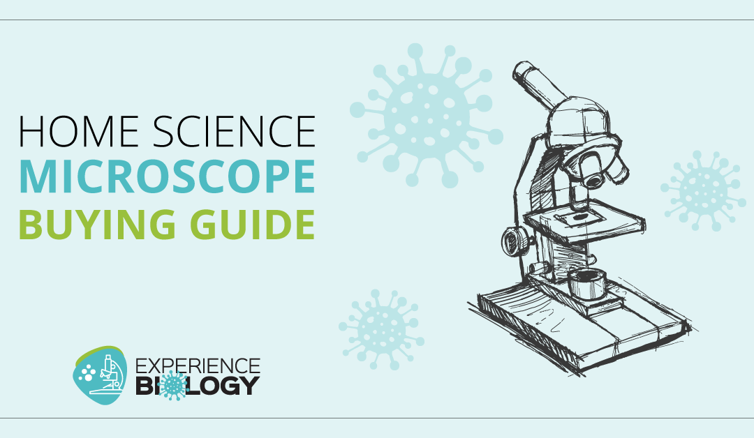 How to Find the Best Microscope for Homeschool Science