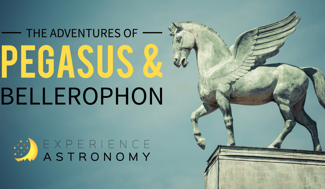 The Adventures of Pegasus and Bellerophon