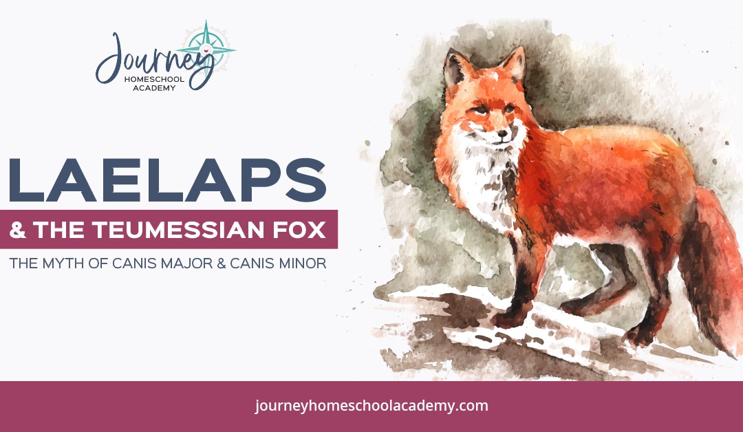 Laelaps and the Teumessian Fox: The Myth of Canis Major and Canis Minor