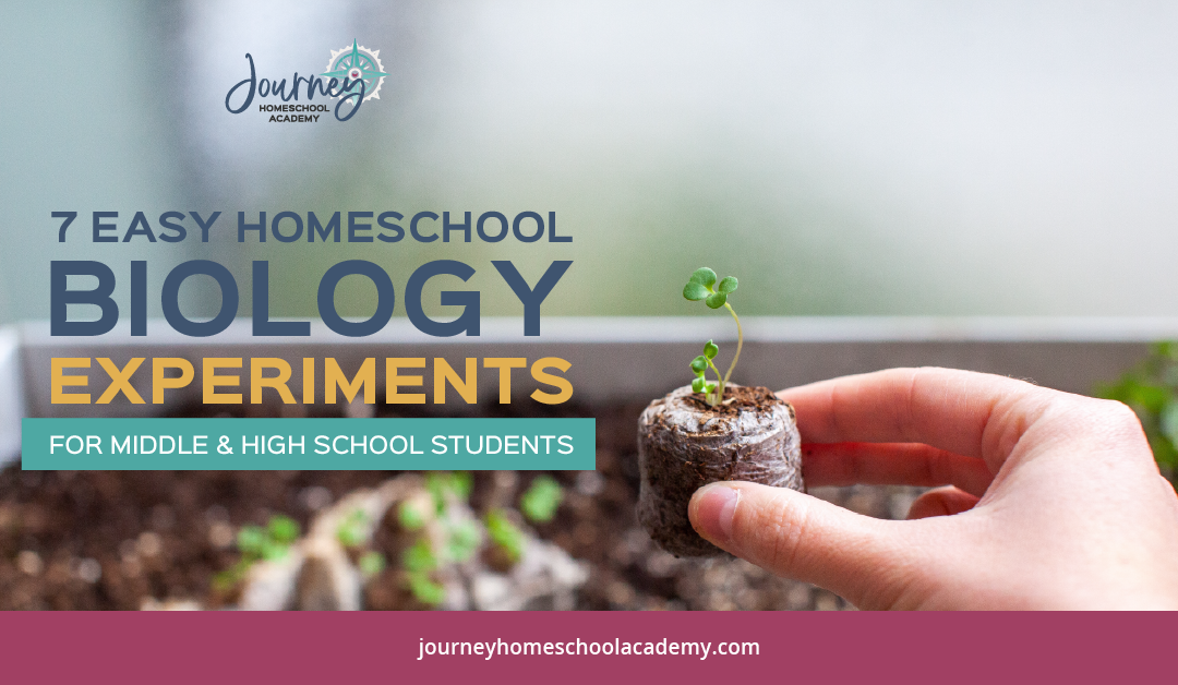 7 Easy Homeschool Biology Experiments for High School Students