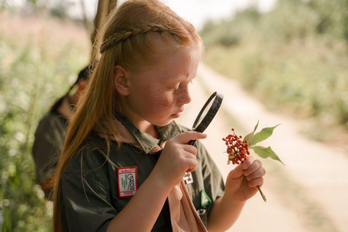 homeschool science and hands-on activities