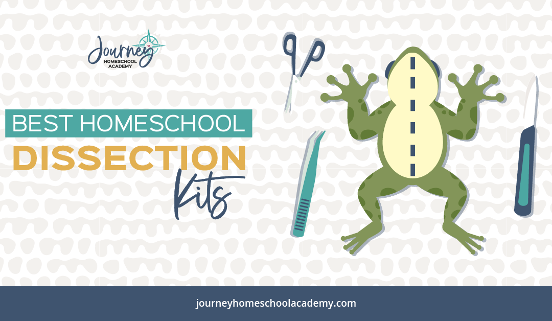 The Best Homeschool Dissection Kits