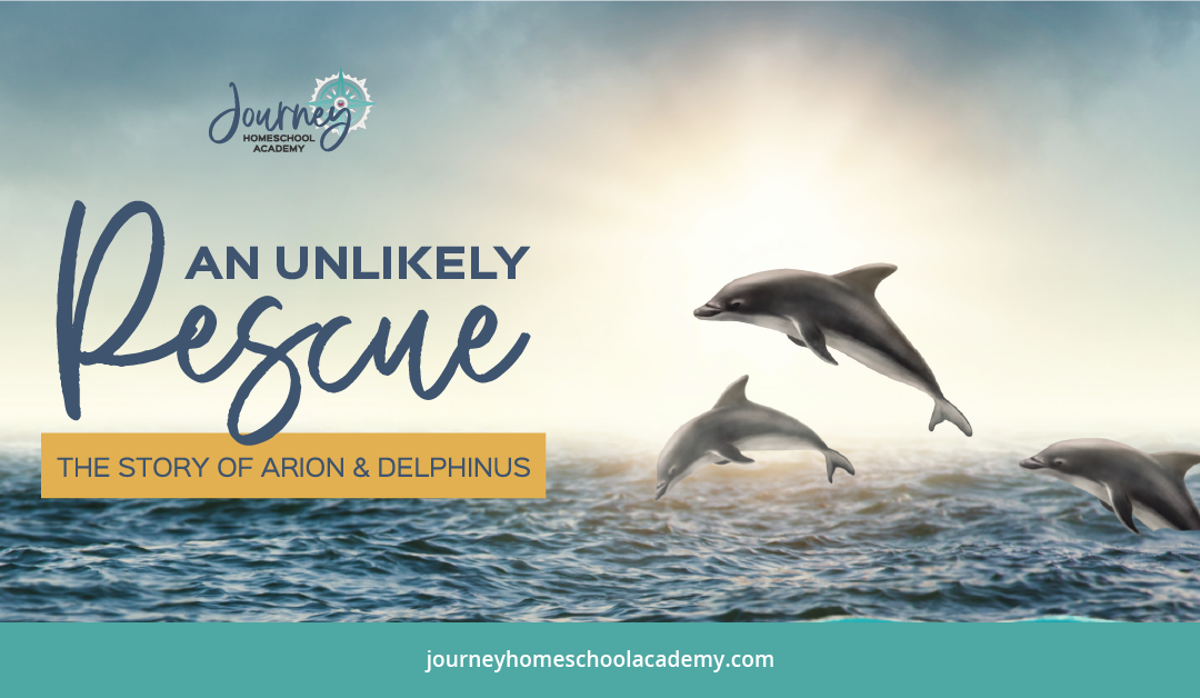An Unlikely Rescue: The Story of Arion and Delphinus