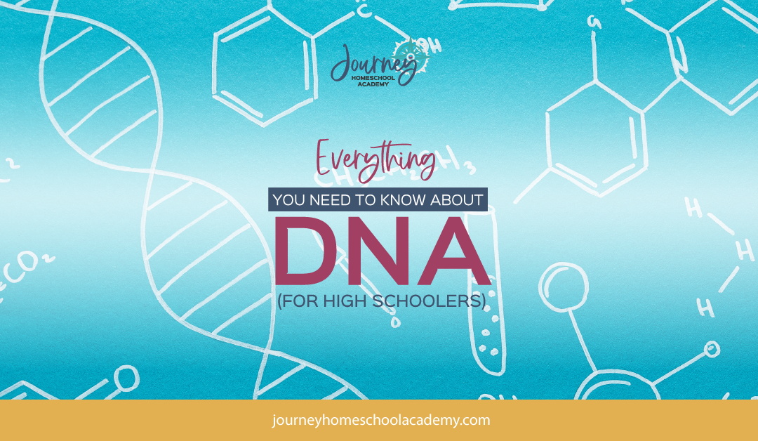 Everything You Need to Know About DNA (For High Schoolers)