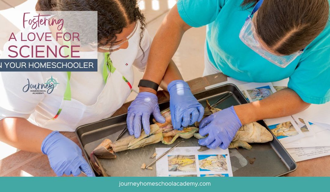 How to Foster a Love for Science in Your Homeschooled Child