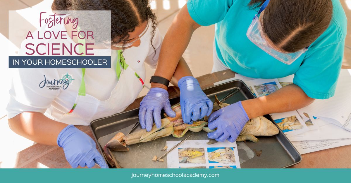 Foster-a-Love-for-Science-in-Your-Homeschooled-Child