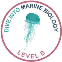 Dive into marine biology icon