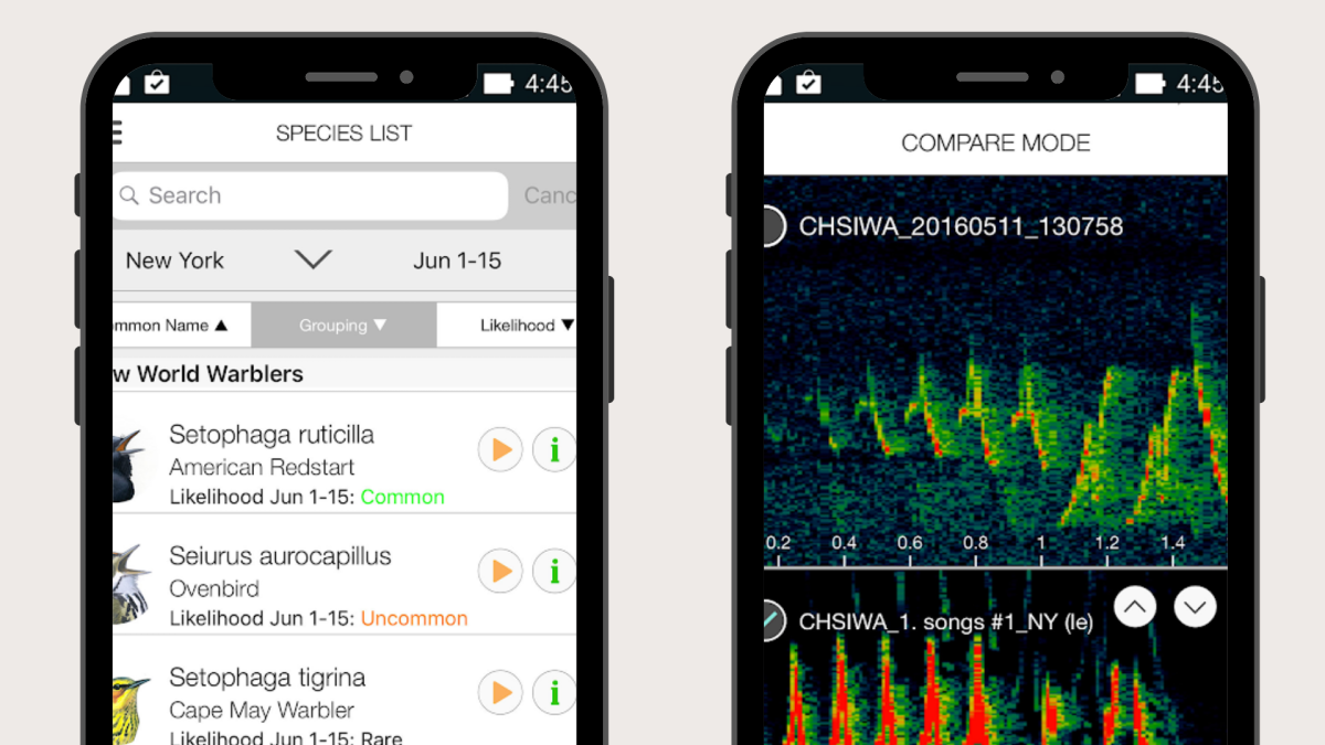 Top 8 Birdsong Apps for Nature-Loving Homeschool Families - Journey Homeschool Academy