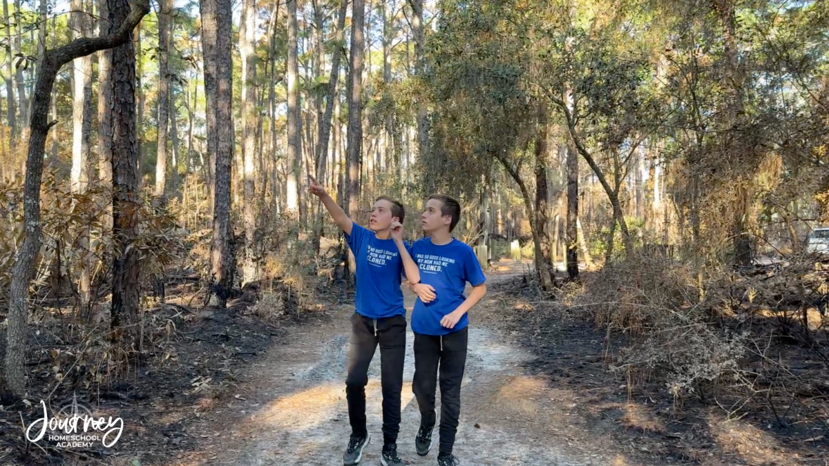 Top 8 Birdsong Apps for Nature-Loving Homeschool Families