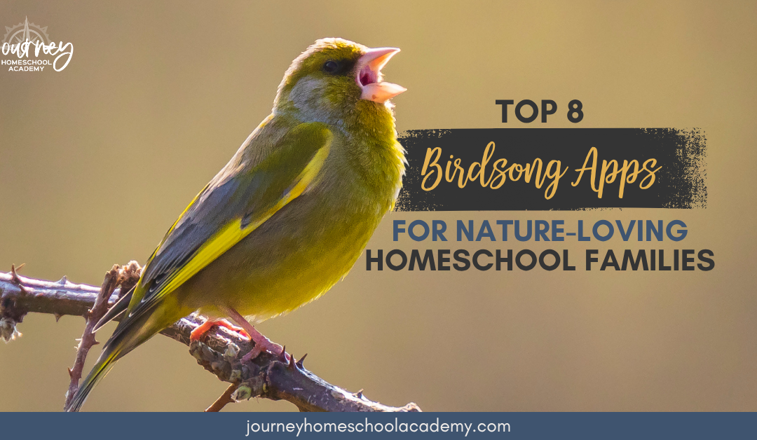 Top 8 Birdsong Apps for Nature-Loving Homeschool Families