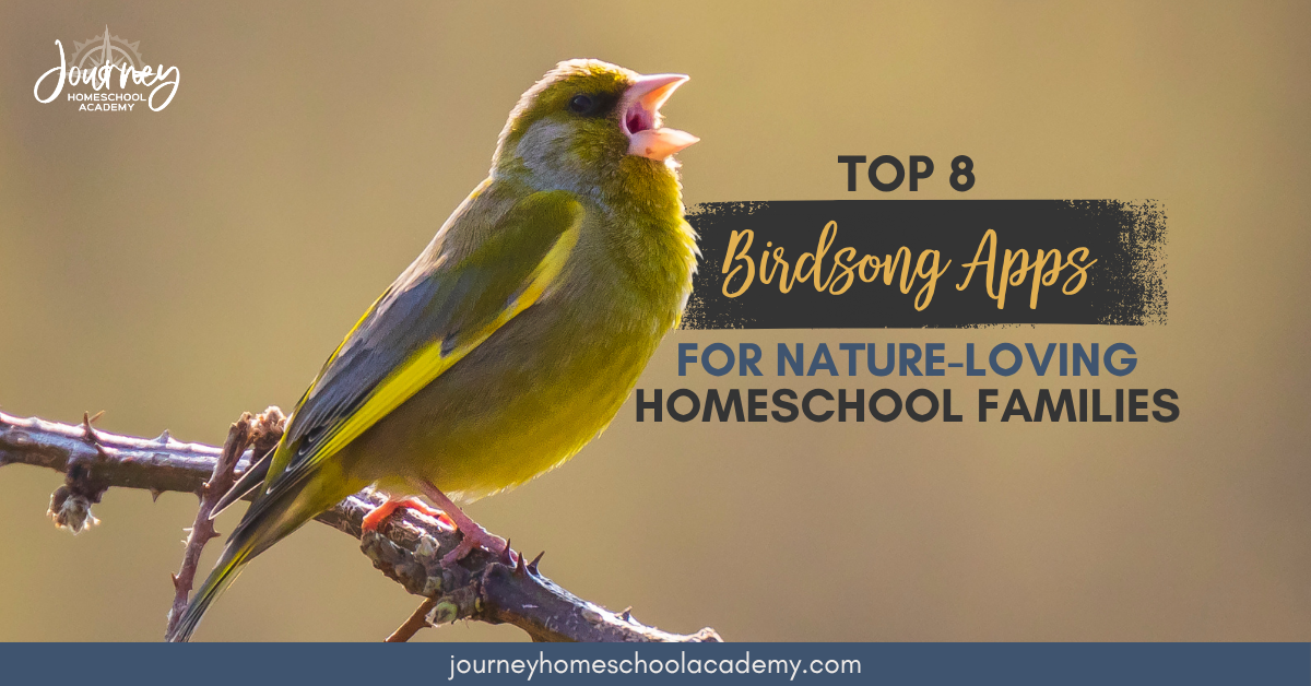 Top 8 Birdsong Apps for Nature-Loving Homeschool Families - Journey Homeschool Academy
