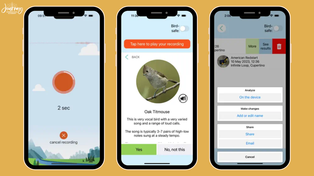 Birding Field Guides: The Best Bird Identification Books for Homeschoolers by Journey Homeschool Academy