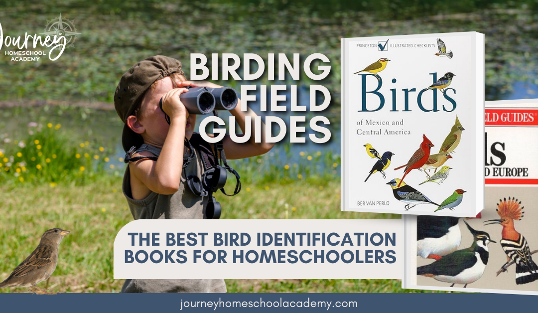 Birding Field Guides: The Best Bird Identification Books for Homeschoolers