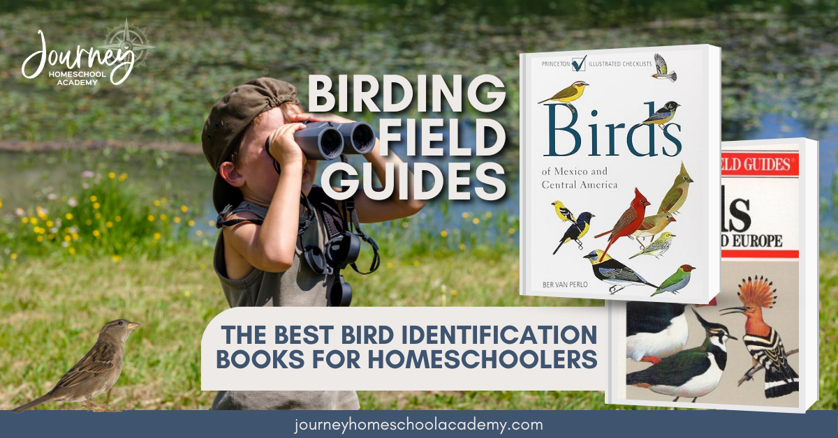 Birding Field Guides: The Best Bird Identification Books for Homeschoolers by Journey Homeschool Academy