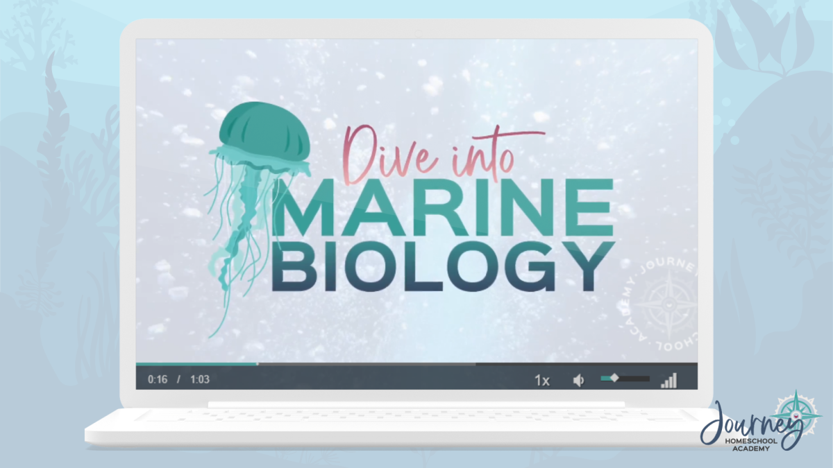Journey Homeschool Academy Dive into Marine Biology logo with jellyfish illustration on laptop screen