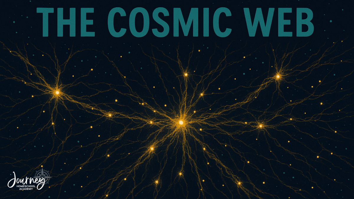 Illustration of the cosmic web showing galaxy clusters and filaments – Journey Homeschool Academy