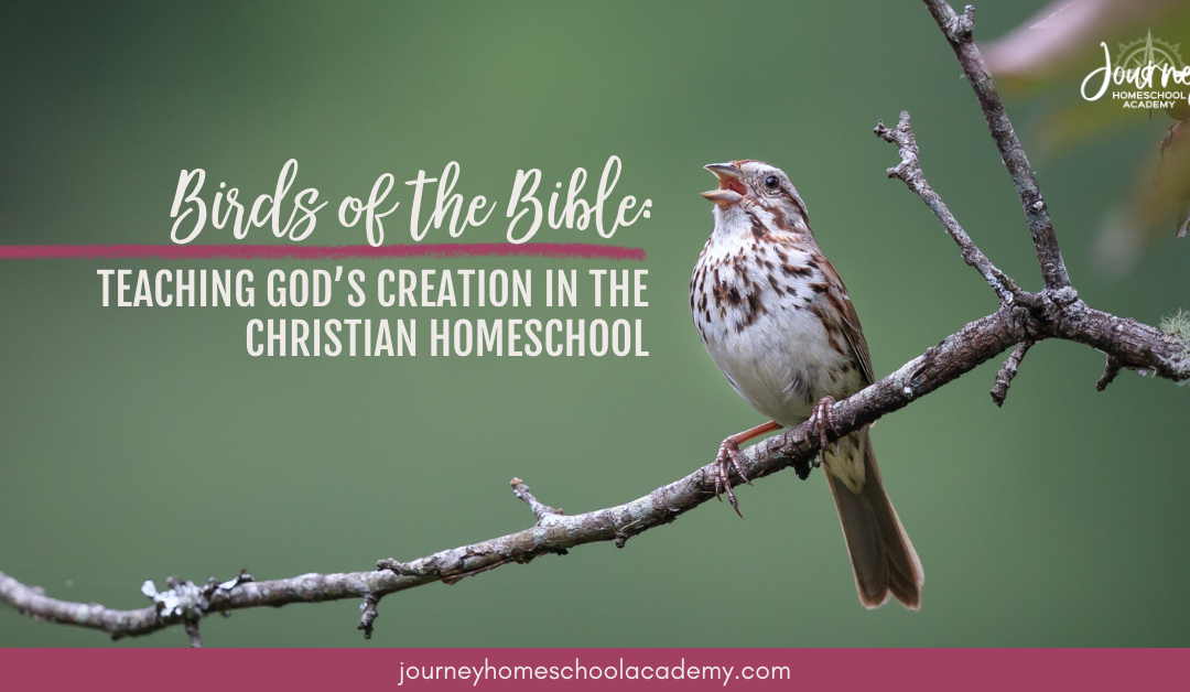 Birds of the Bible: Teaching God’s Creation in the Christian Homeschool
