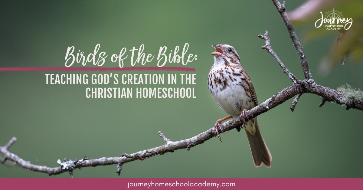 Small bird singing on a branch with blog title overlay — Birds homeschool Christian Bible Journey Homeschool Academy.