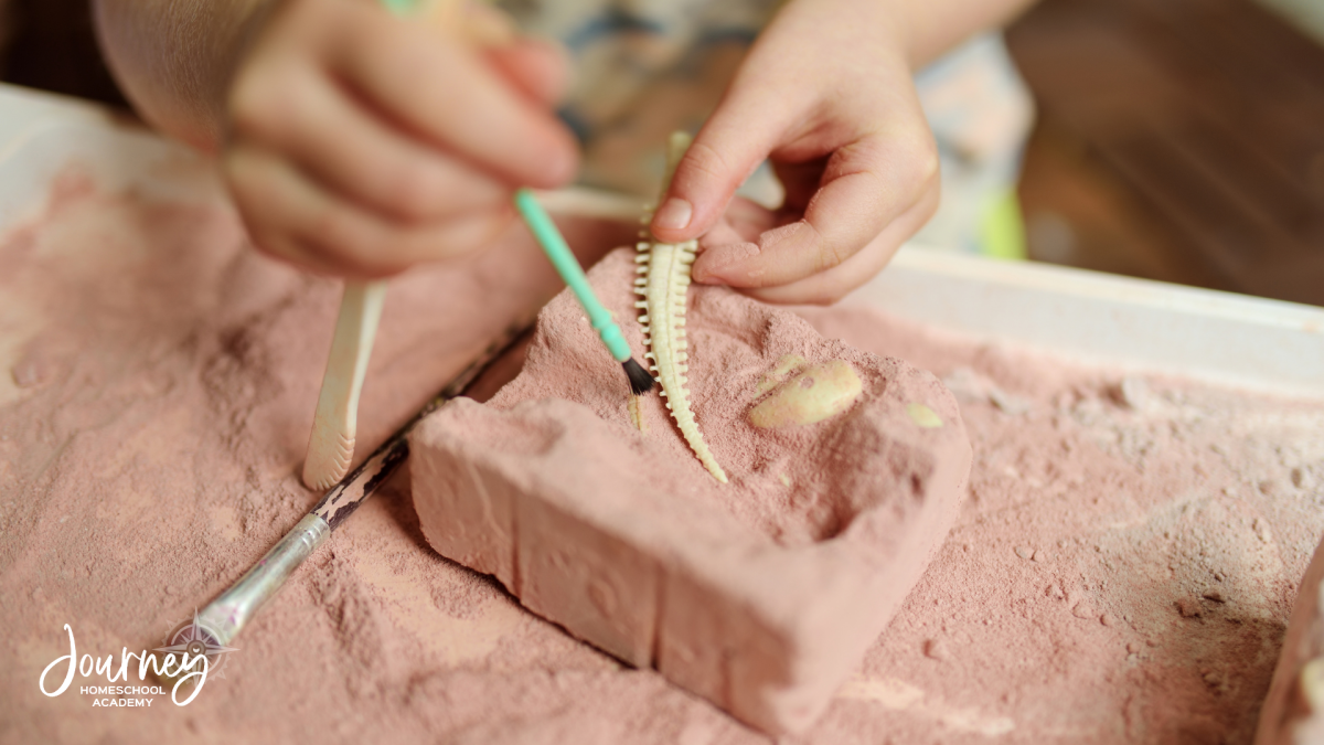 Child brushing off a fossil in a dig kit during a hands-on geology lesson for an earth science homeschool study.