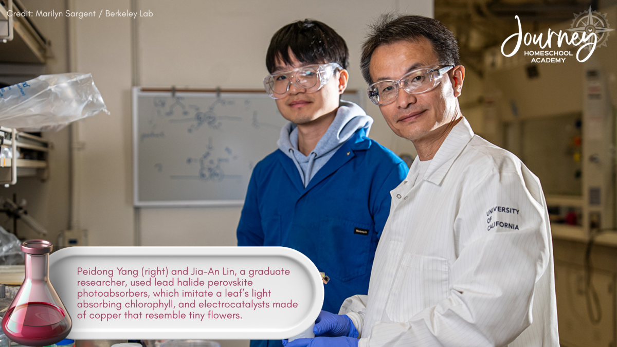 Berkeley Lab researchers Peidong Yang and Jia-An Lin demonstrating an artificial photosynthesis breakthrough that homeschool chemistry students can explore through the Experience Chemistry curriculum by Journey Homeschool Academy.