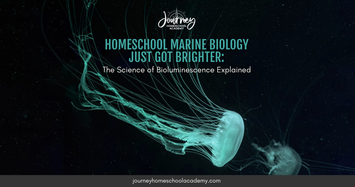 A glowing jellyfish floating in dark ocean water with text “Homeschool Marine Biology Just Got Brighter: The Science of Bioluminescence Explained.” Used for Journey Homeschool Academy blog post.
