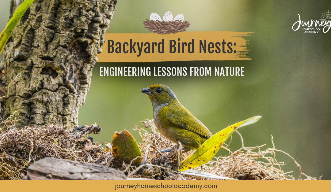 Backyard Bird Nests: Engineering Lessons From Nature