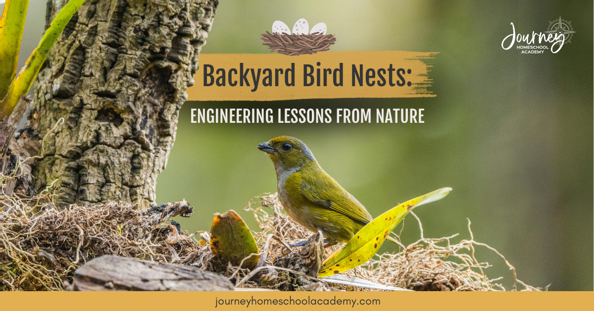 Small bird perched beside a nest in a tree, featured graphic for the article Backyard Bird Nests: Engineering Lessons From Nature