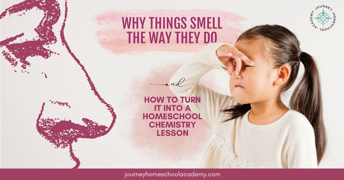 Blog header with girl plugging her nose beside text reading “Why Things Smell the Way They Do and How to Turn It into a Homeschool Chemistry Lesson,” by Journey Homeschool Academy.