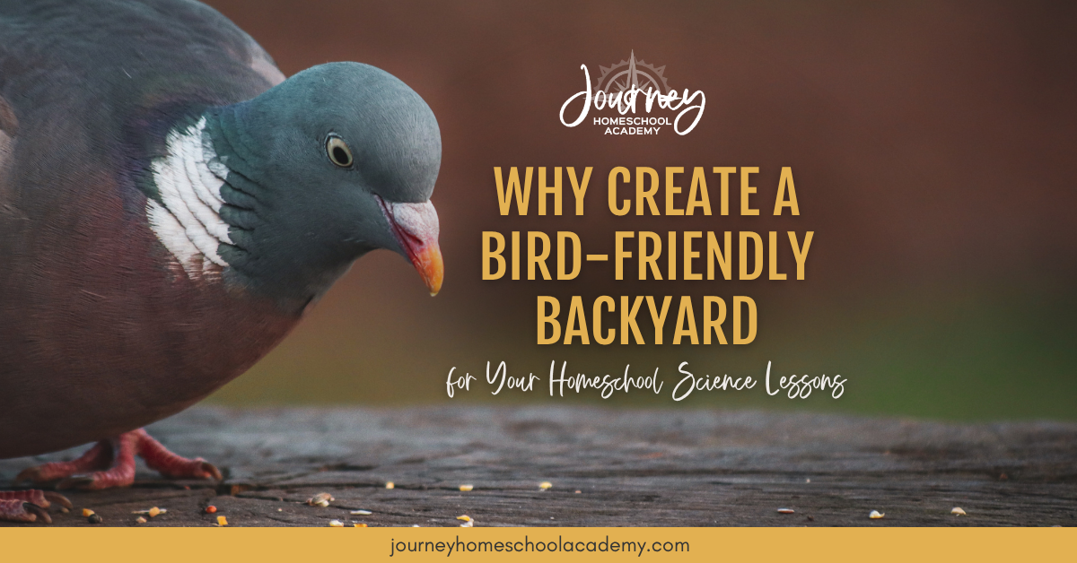Pigeon eating seeds with text overlay promoting Journey Homeschool Academy’s article on creating a Bird-Friendly Backyard for homeschool science lessons.