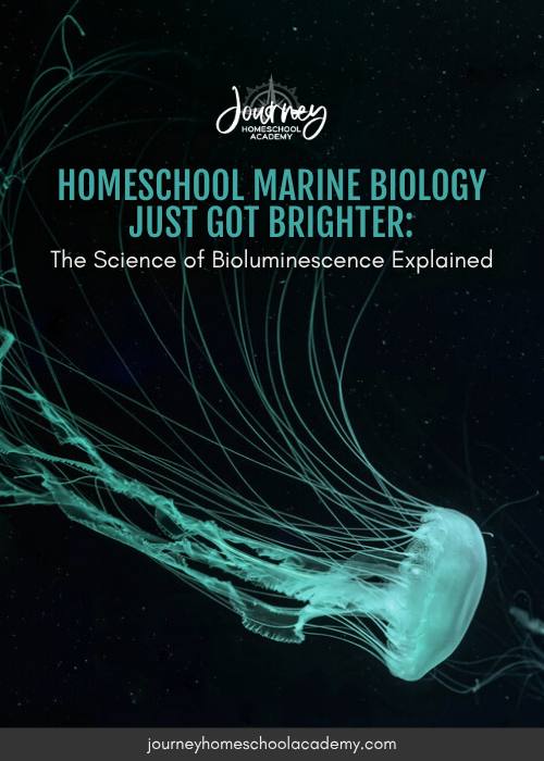 Vertical promotional image featuring a glowing jellyfish on a dark background for Journey Homeschool Academy’s Marine Biology blog about bioluminescence.