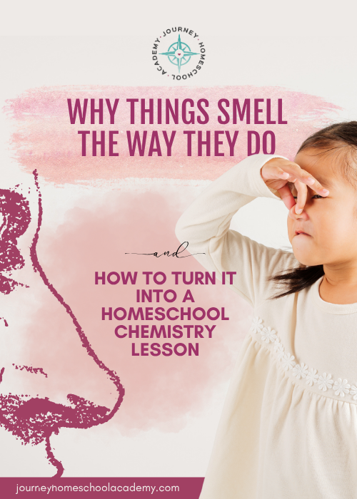 Young girl holding her nose beside illustrated nose graphic with the text “Why Things Smell the Way They Do and How to Turn It into a Homeschool Chemistry Lesson” by Journey Homeschool Academy.