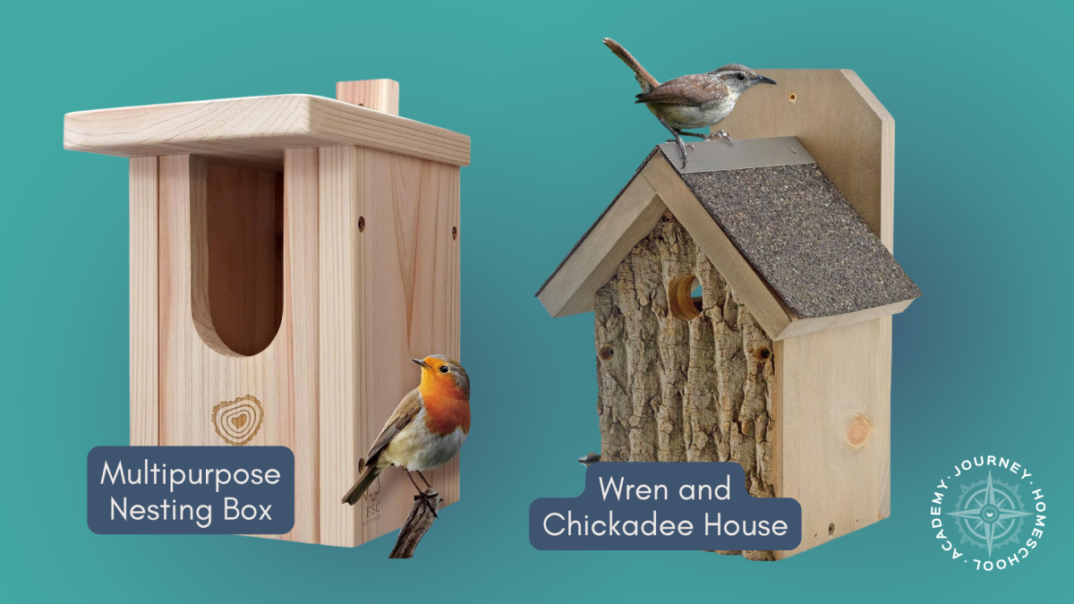 Multipurpose nesting box and wren and chickadee house displayed with birds, perfect for a bird nesting homeschool project with Journey Homeschool Academy.
