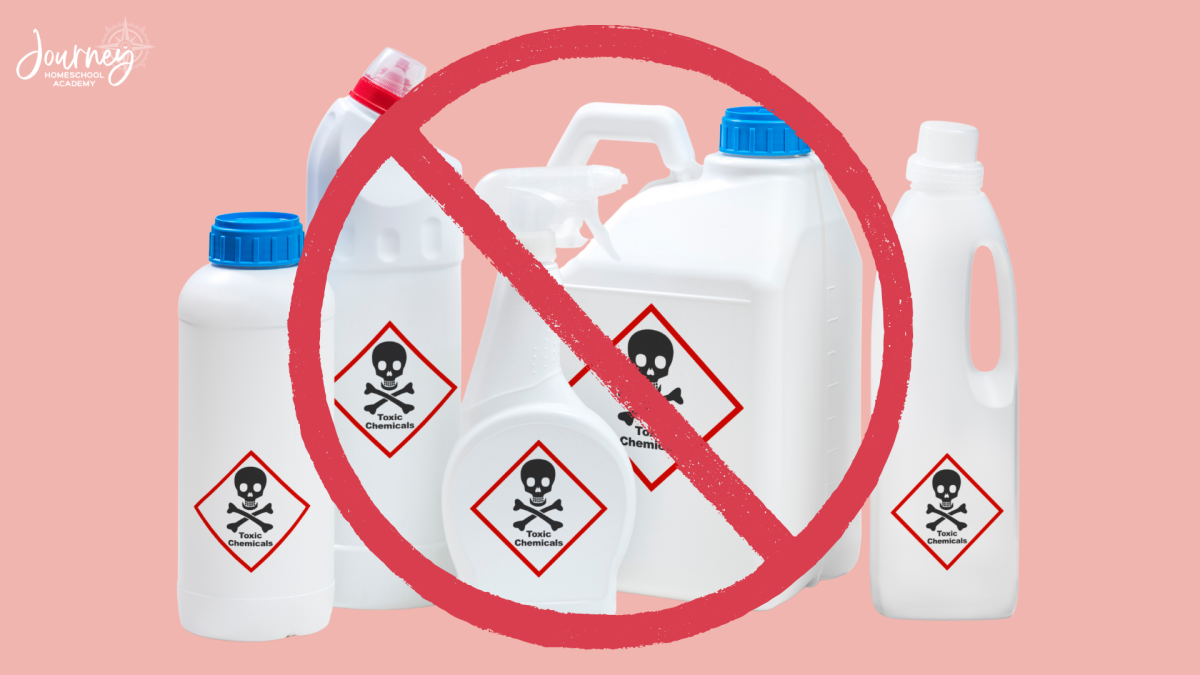 Illustration showing household chemical bottles crossed out to promote pesticide free, bird safe landscaping for homeschool families. Journey Homeschool Academy.
