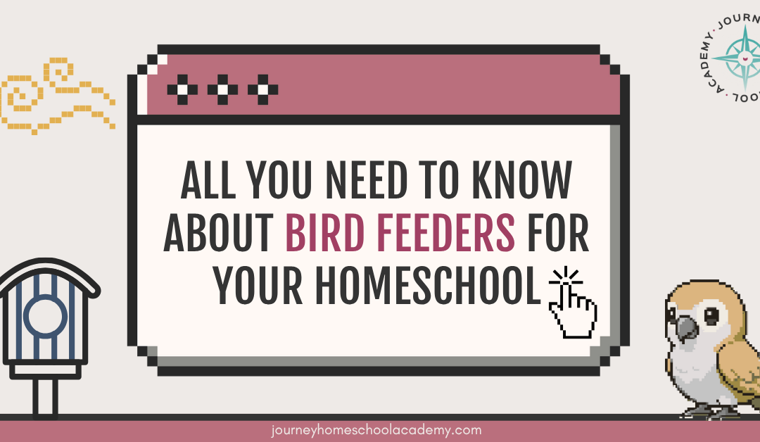 All You Need to Know About Bird Feeders for Your Homeschool