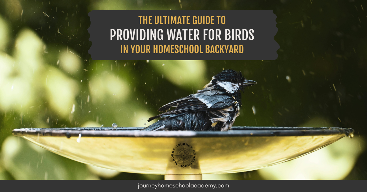 Small bird bathing in a backyard bird bath—featured graphic for providing water for birds homeschool guide by Journey Homeschool Academy.