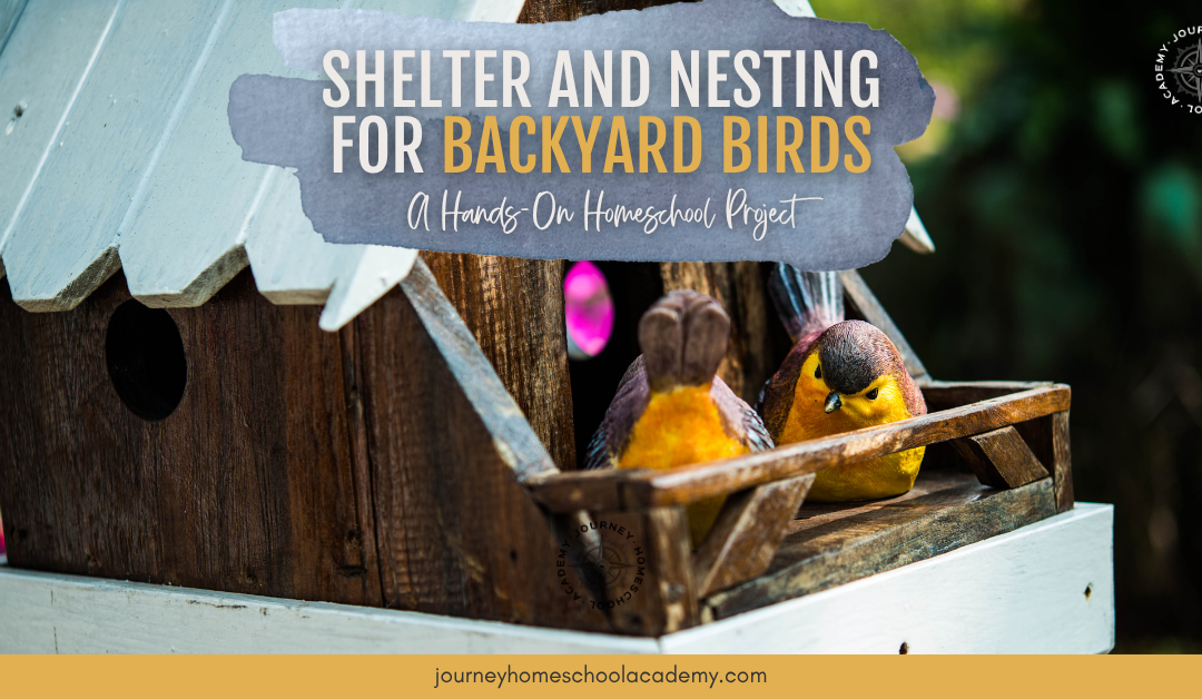 Shelter and Nesting for Backyard Birds: A Hands-On Homeschool Project