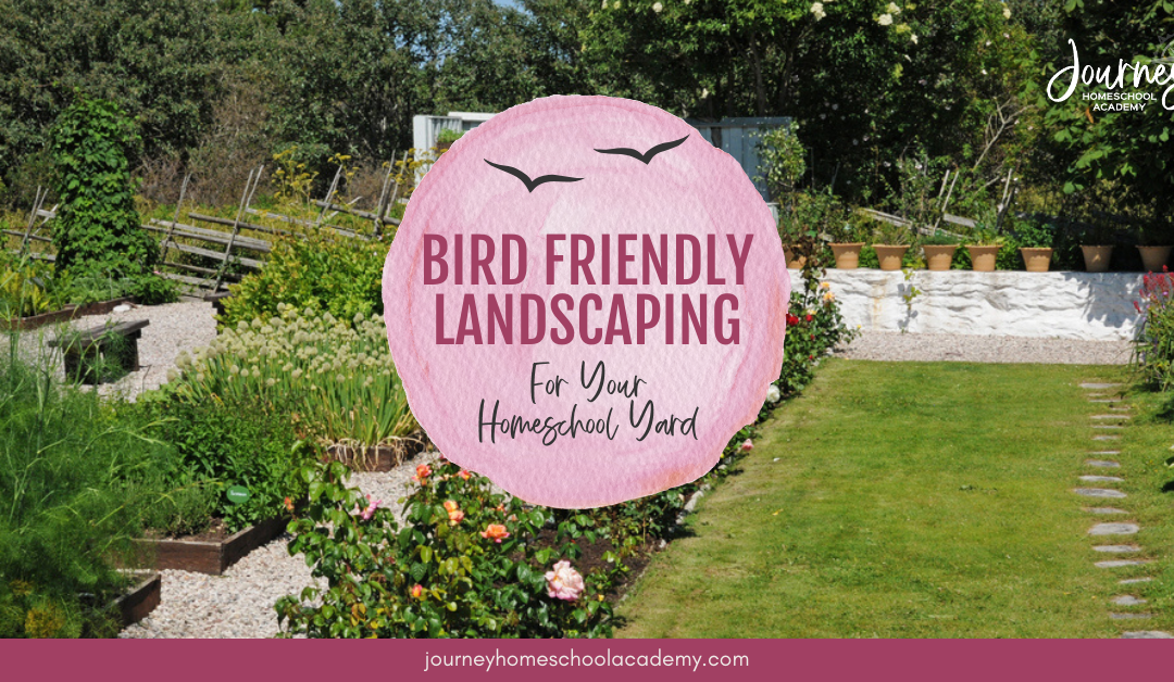 Bird Friendly Landscaping For Your Homeschool Yard