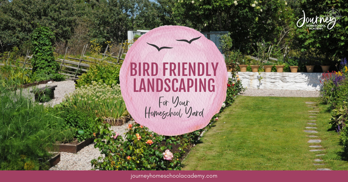 Bird friendly landscaping header image featuring a colorful homeschool backyard garden with native plants and a learning friendly outdoor space. Journey Homeschool Academy.