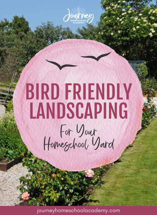 Bird friendly landscaping in a homeschool backyard garden with native plants and flowers, promoting wildlife habitat for families. Journey Homeschool Academy branding.