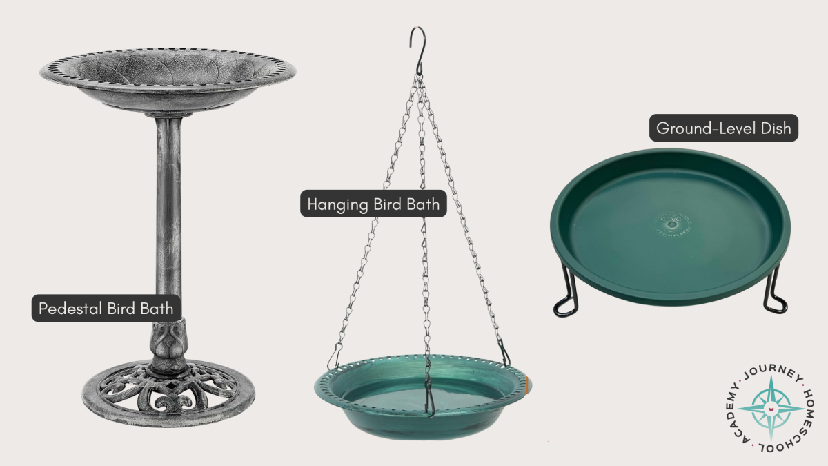 Pedestal bird bath, hanging bird bath, and ground-level dish options—simple ways of providing water for birds in your homeschool with Journey Homeschool Academy.