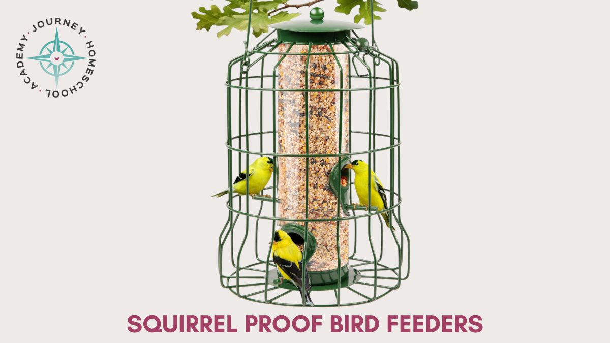 Squirrel-proof bird feeder filled with seed and surrounded by goldfinches, representing how to solve common bird feeder problems in a homeschool setting.