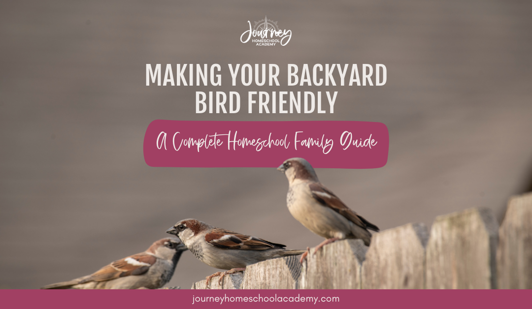 Making Your Backyard Bird Friendly: A Complete Homeschool Family Guide