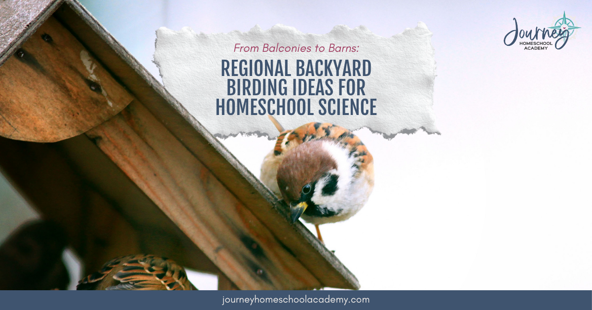 Sparrow at a wooden feeder with text overlay “Regional Backyard Birding Ideas for Homeschool Science,” used as the featured image for the article.