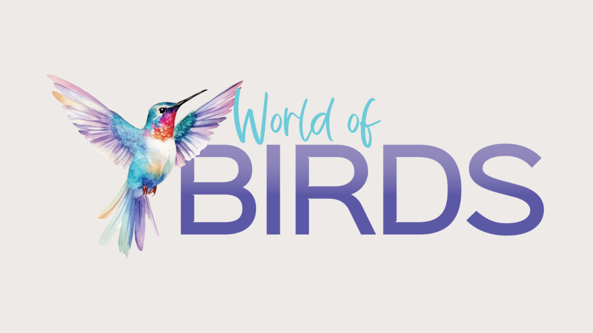 Journey Homeschool Academy World of Birds logo featuring watercolor hummingbird