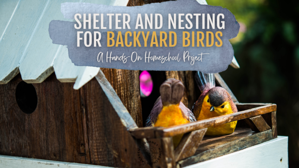 Journey Homeschool Academy homeschool bird nesting project featuring wooden birdhouse and colorful model birds