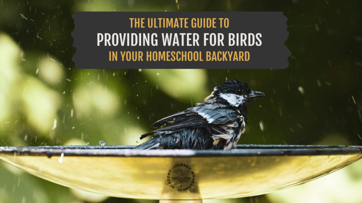 Journey Homeschool Academy water for birds homeschool guide with bird bathing in yellow basin
